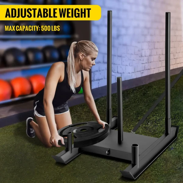 Weight Sled System - Image 2