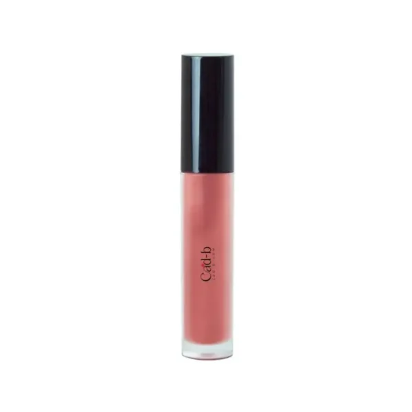 Lip Gloss - Chestnut LG14 | Vegan, Paraben Free - Image 2