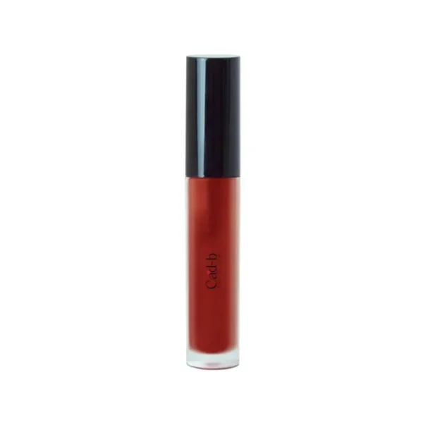 Lip Gloss - Brick LG18 | Vegan, Paraben Free - Image 2